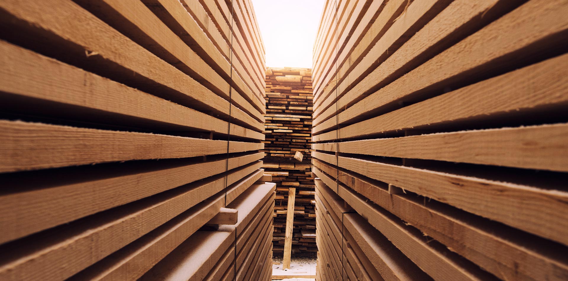 Hirschbach-GmbH-wood-basic-building-material-background-picture